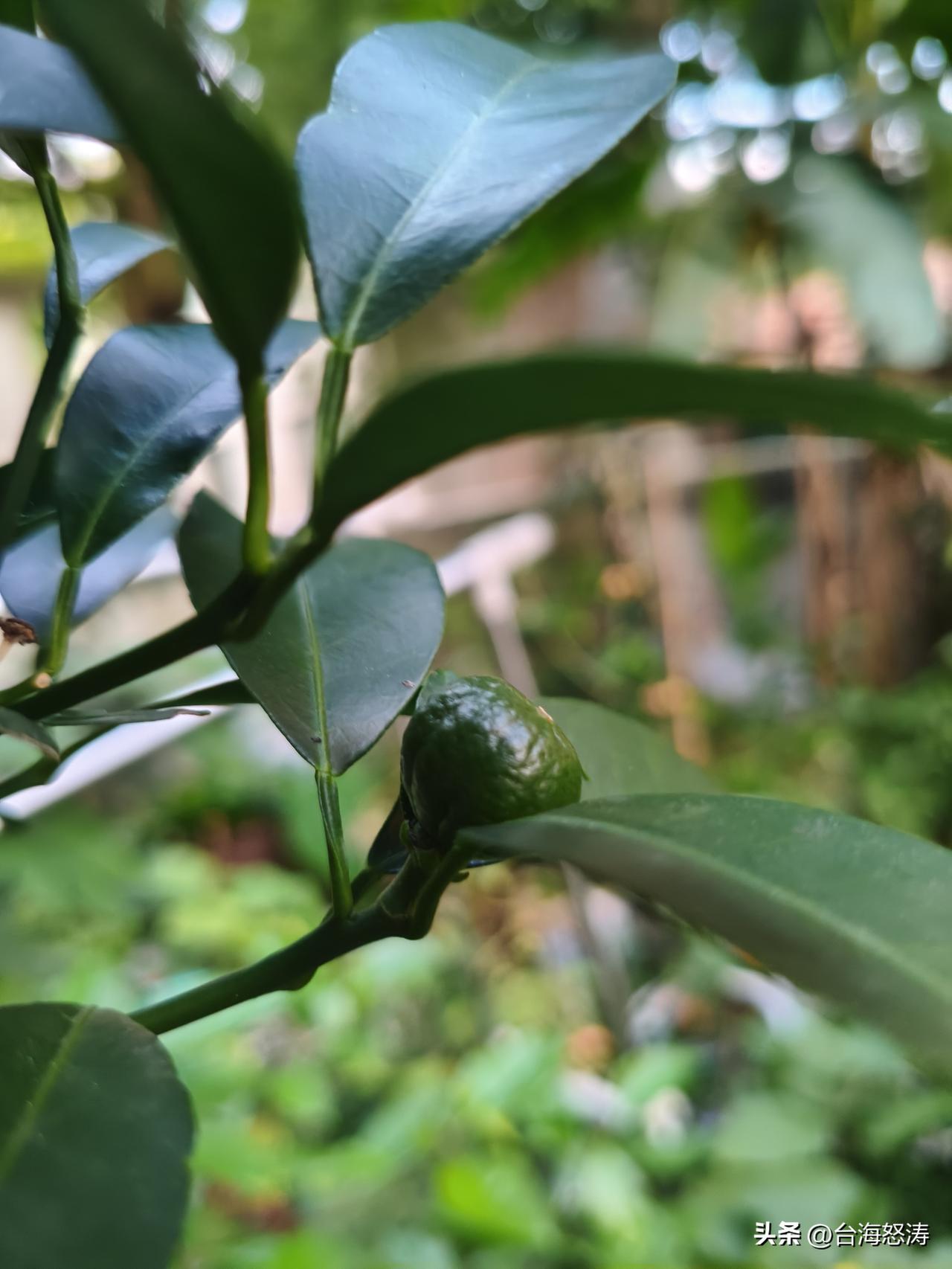 6月16日傍晚六点，一位带着一岁幼儿的宝妈，被突如其来的大雨困住。在顺德渔村门店