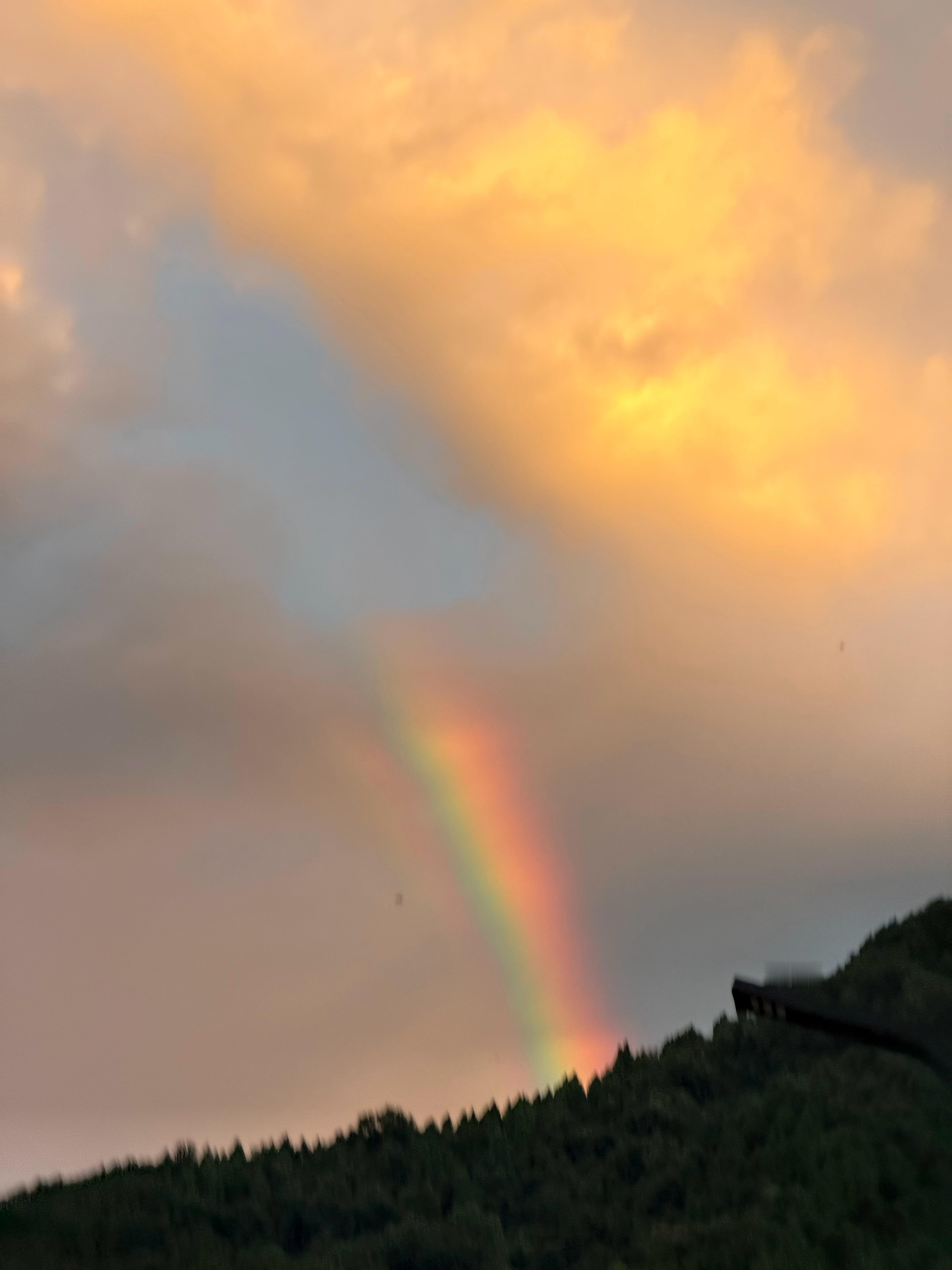 🌈 