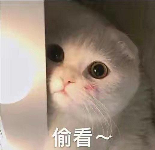 过度依赖AI的后果有多严重AI可以帮我们提高效率，但不能取代思考。长期凡事交给A