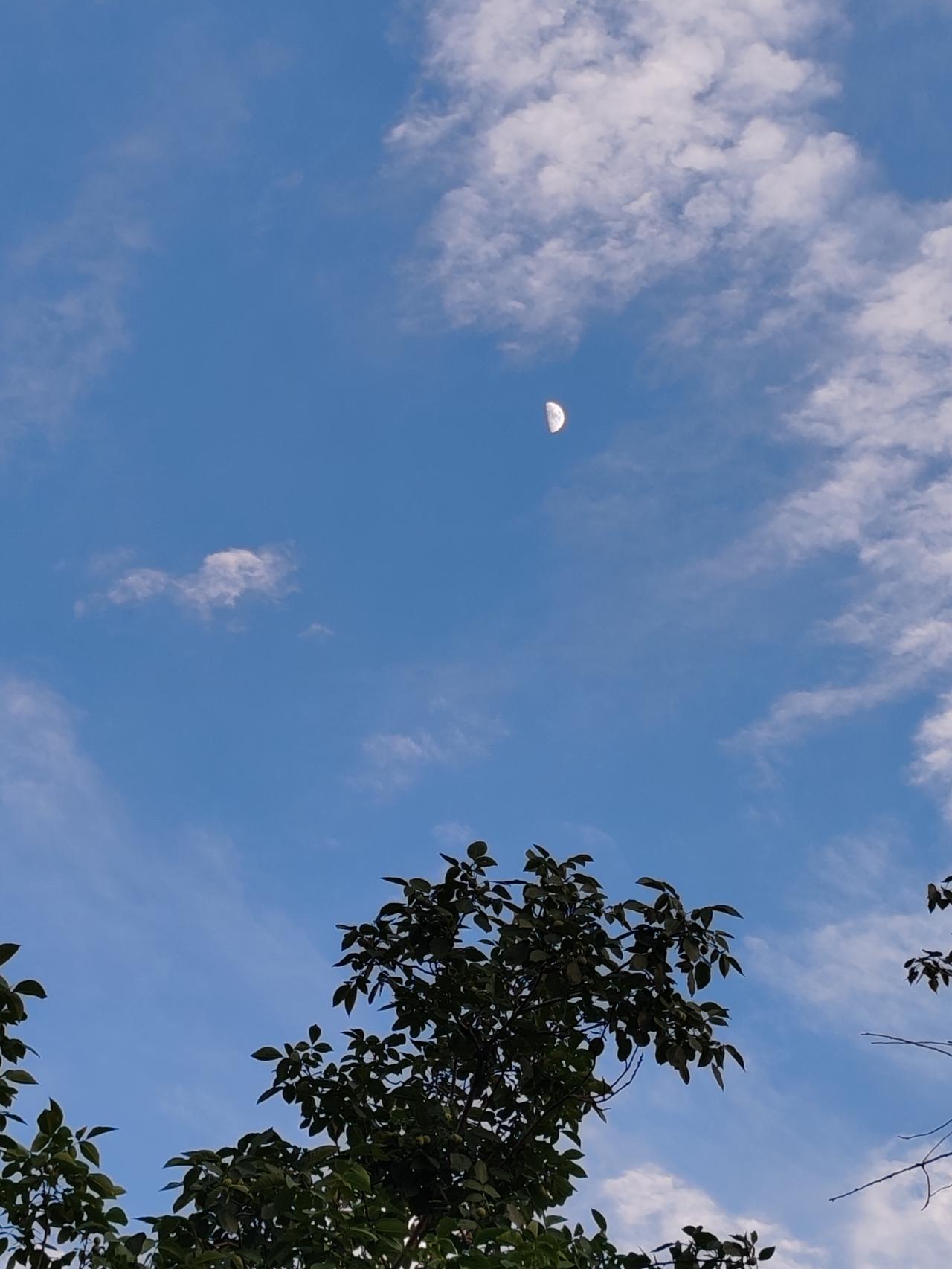 我认为应该。虽然现在社会上已不在把网络游戏视为洪水猛兽，而是视其为一把双刃剑。建