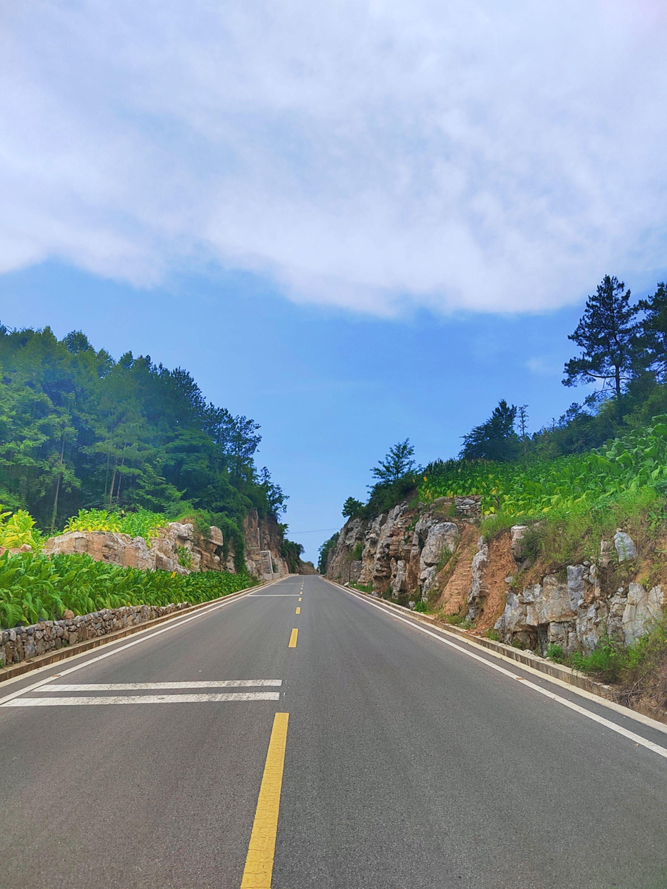 本次旅行已收官 耗时接近一个月 虽一路曲折与艰辛 途中生变 然 欲买桂...