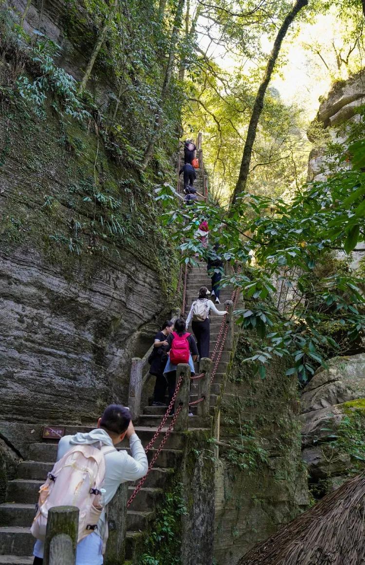 #登山迷路,你会怎么走?#
如果在登山时迷路，以下是一些建议的步骤来帮助你安全地