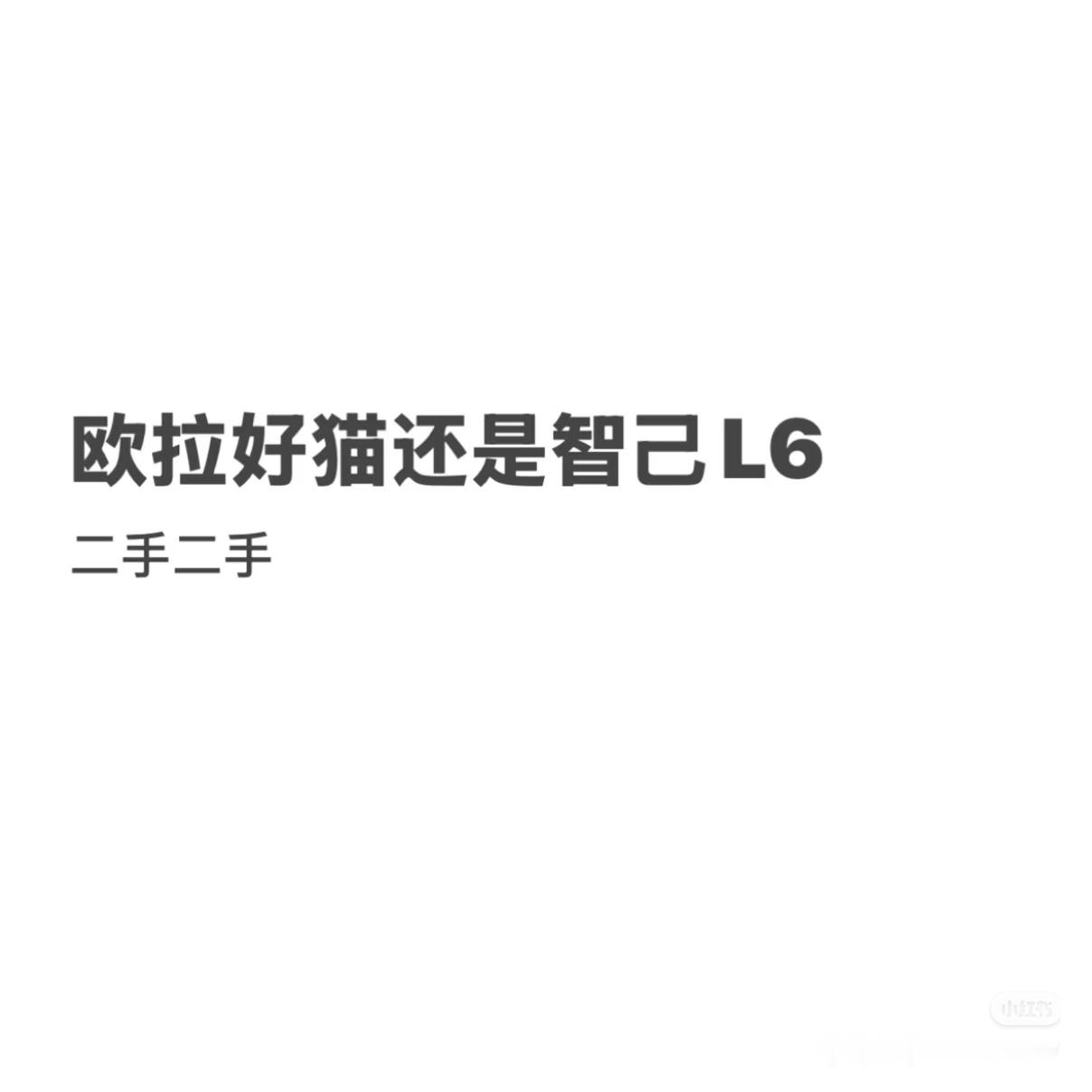“欧拉好猫还是智己L6？”，小红书怎么还有这样比较的？你别说，其实当初在广州工作