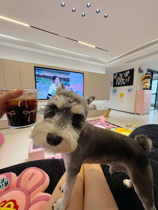 讲真的，不结婚一个人住真的挺爽的🫢