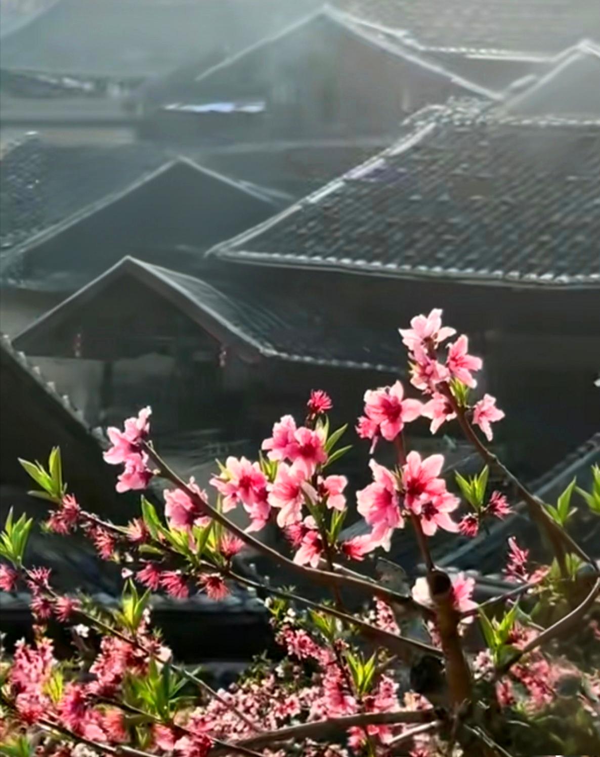 春天最治愈的，从来不是花开，春天真正的温柔，藏在那些不显眼的小事里。
 
不是朋