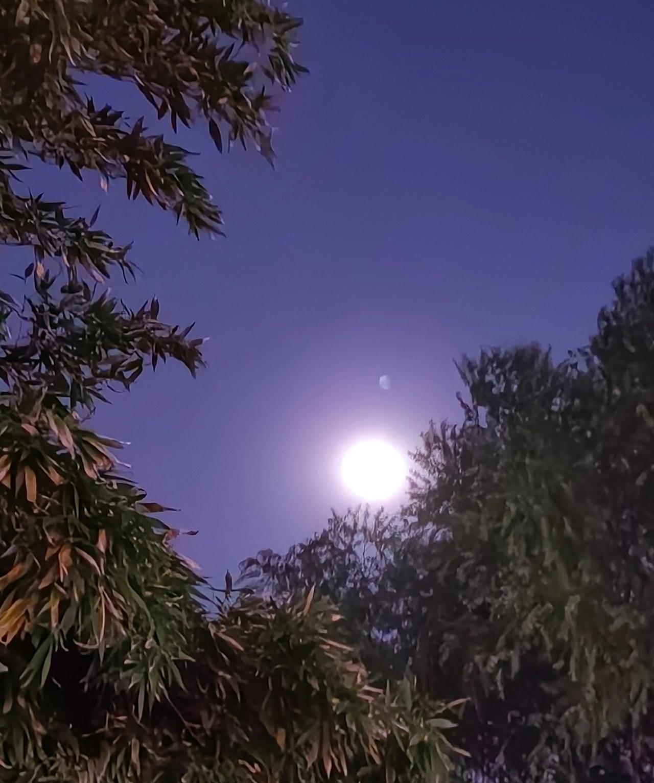 阴阳中获真知，动静里得灼见。
孔子周游列国四处碰壁，然后明白如何教化育人。
释迦