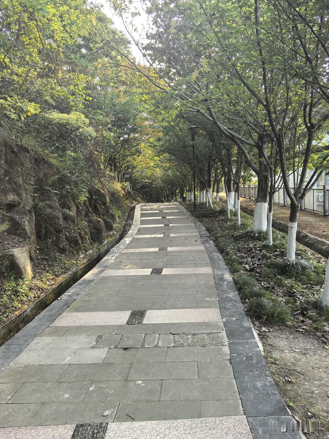 王叉叉的女儿六岁了，今年该读小学，五一期间肯定就又要线上报名，预约，等待被学校录