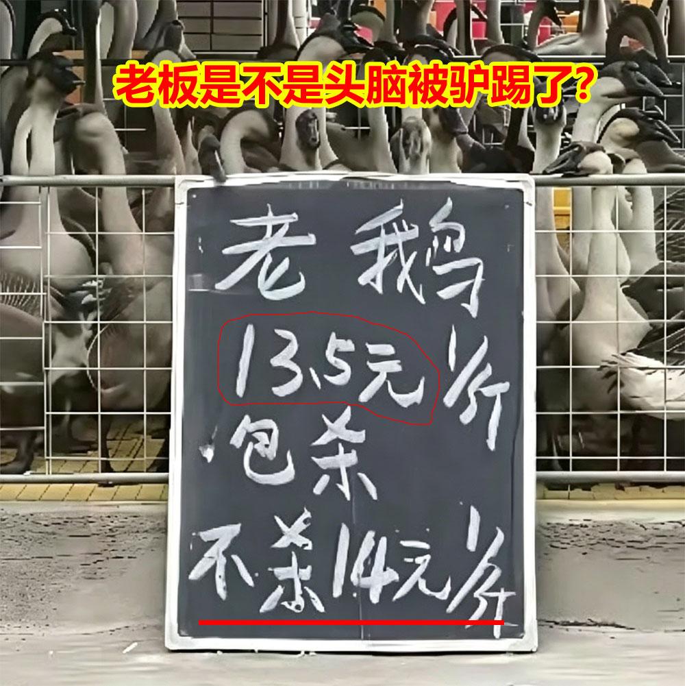老板是不是头脑被驴踢了？
昨天经过市场，看到一家卖鹅的。
上面写着：老鹅13.5