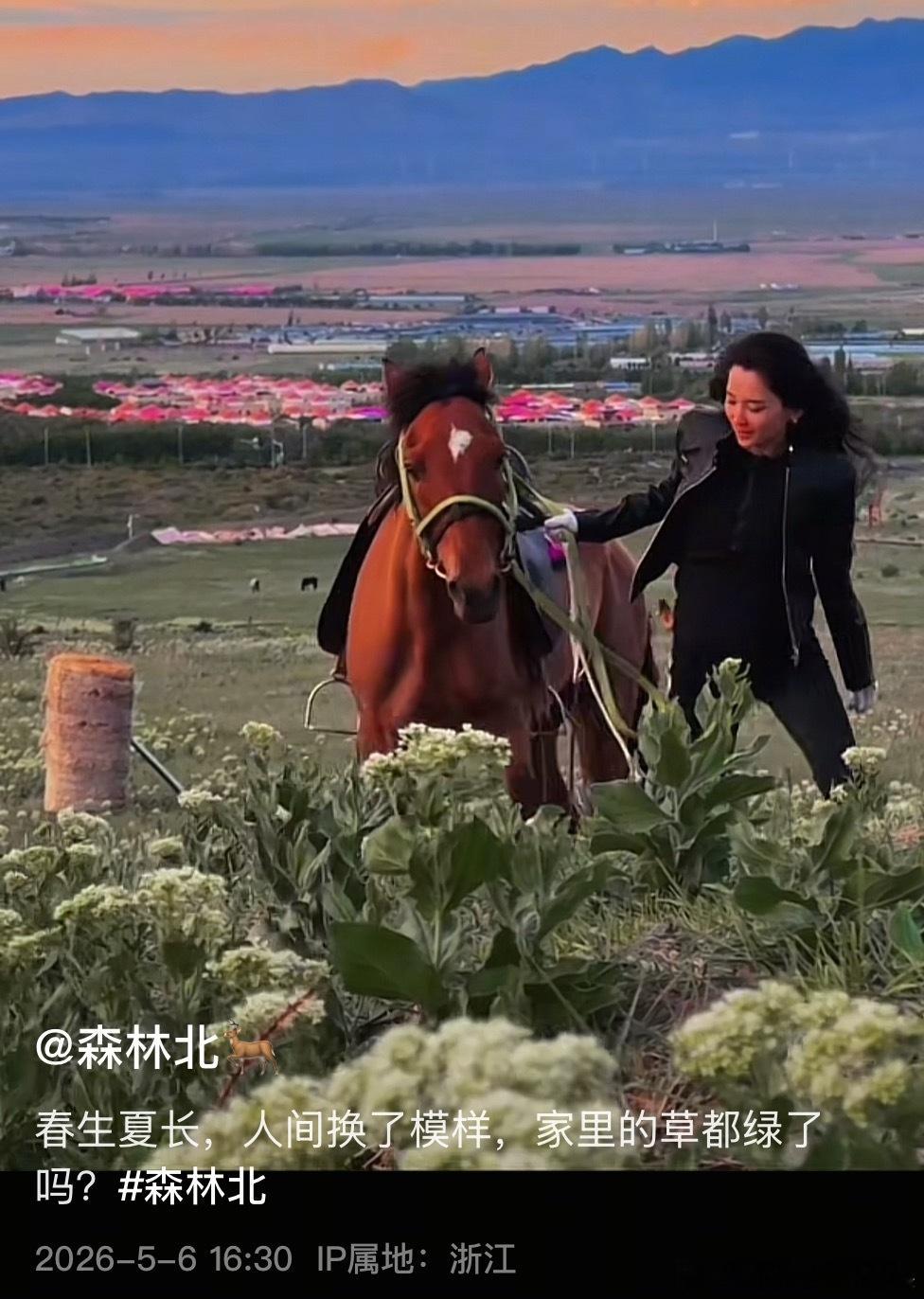 刚看到森林北文案，家里的草都绿了吗森林北的文案森林北家里的草都绿了吗