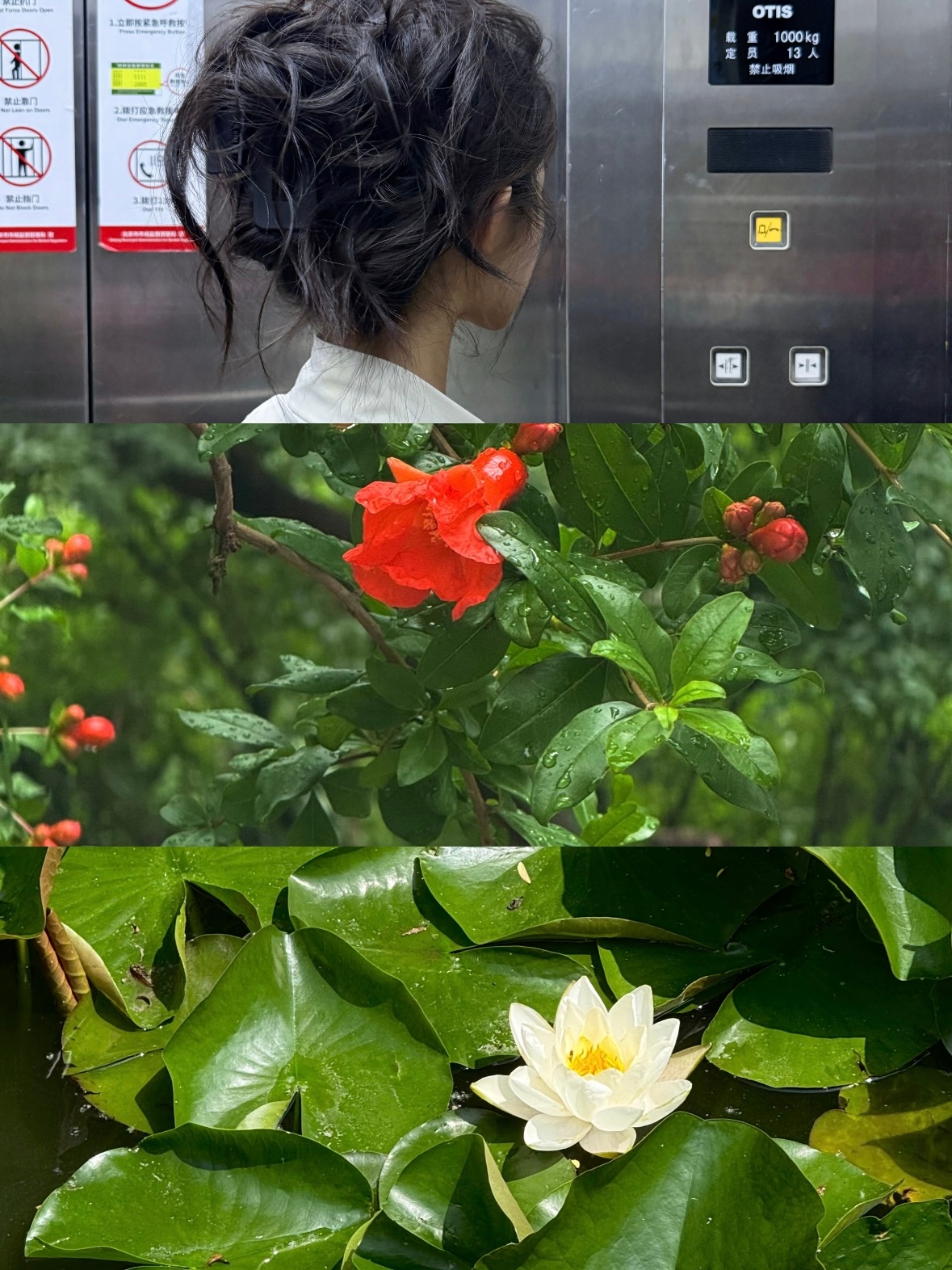 接此女发量 