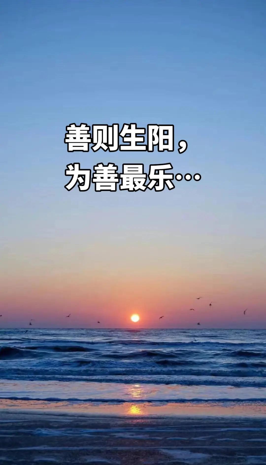 每日一善[超话] 你攒下的每一份细碎善意，都会变成落在你肩头的星光、吹过你发梢的