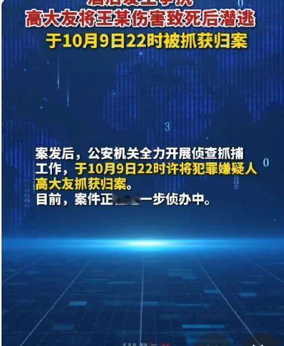 高大友被抓到了。
辽宁葫芦岛绥中县新隆村的高大友在10月6日和发小王某喝酒，不知