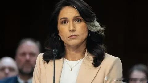美国已停止分享有关俄罗斯和乌克兰之间谈判的情报


美国国家情报总监加巴德发布指