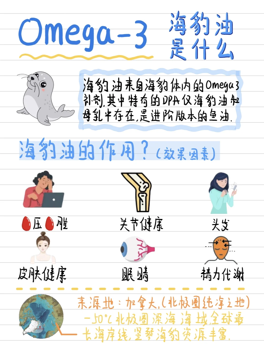 海豹油和鱼油🈶什么区别❓