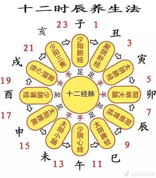 #睡觉中途醒了 不要看时间#为什么不管几点睡，醒来都是3点左右？古人把一天分为十