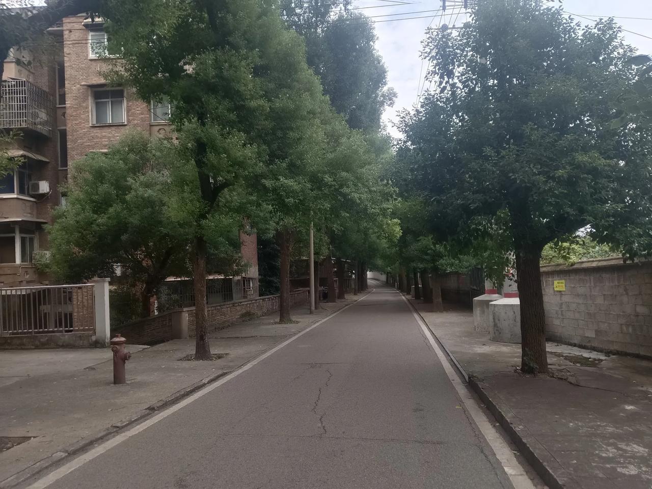博博拍摄，湘潭板塘铺的新建村地区