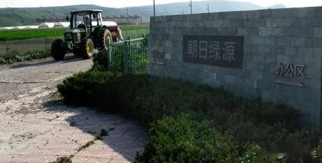 [兔子]山东莱阳，一批日本人花费15亿租下1500亩良田，随后，就打了一口200