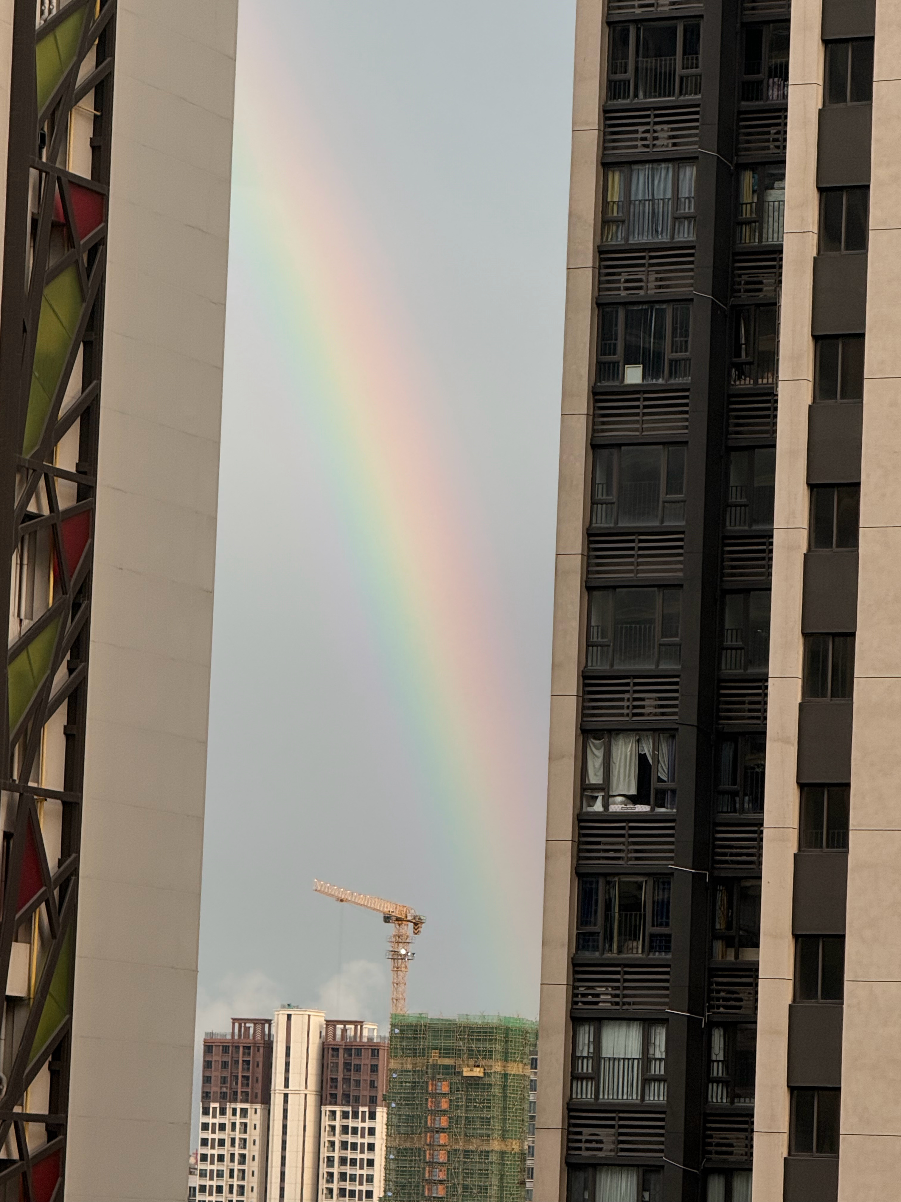 又见到🌈了，好运送你