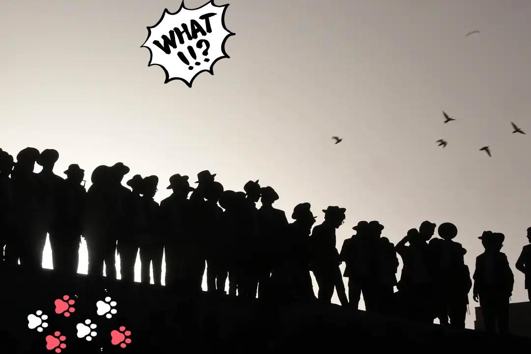 快讯快讯
以色列20万人在耶路撒冷集会了！

据以色列媒体报道，10月30日下午