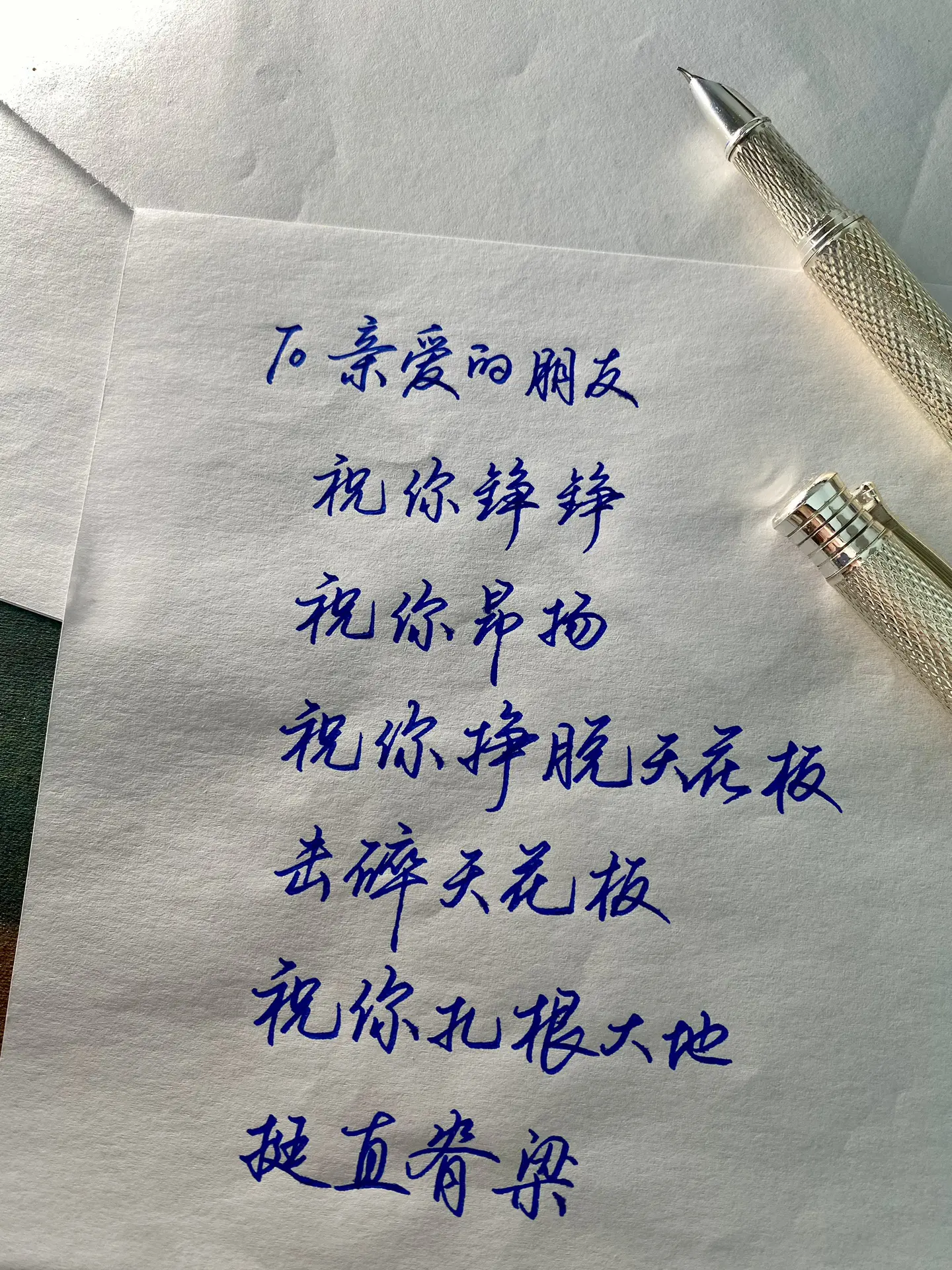 亲爱的朋友，祝你铮铮，祝你昂扬，祝你挣脱枷锁，击碎天花板，祝你扎根大地...