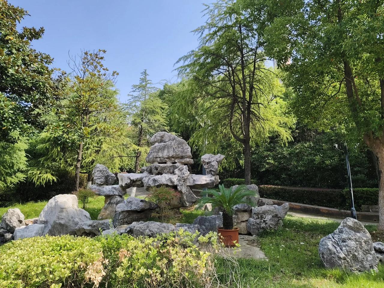 
国庆人山人海，股市一度飘红，桂花绽放渗出满路香气！
秋景:湛蓝的天空飘着朵朵白