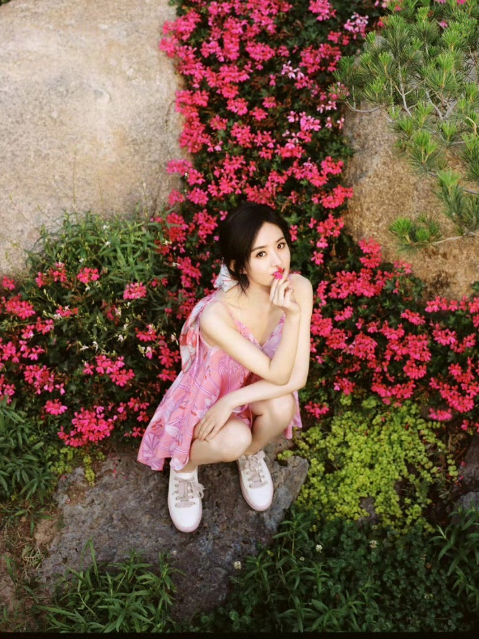 "遇你如春水映梨花"