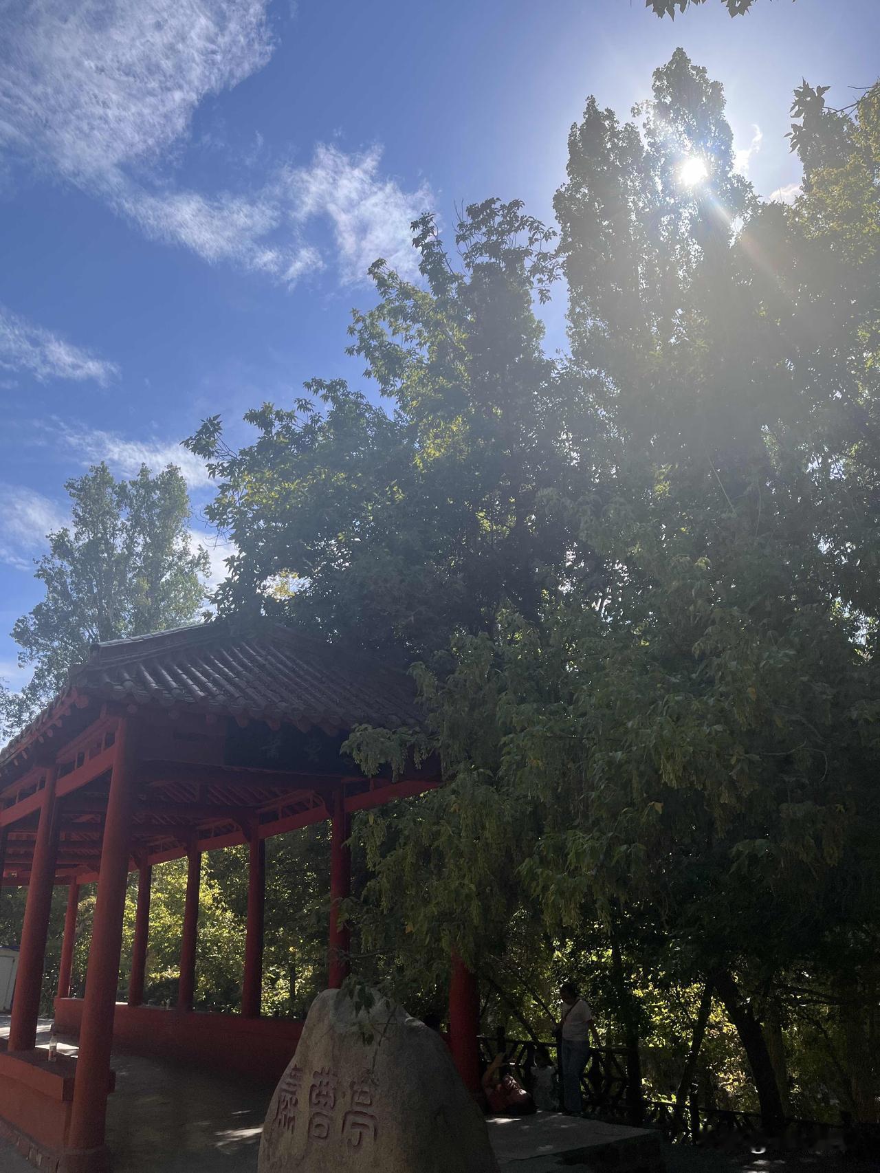 你喜欢拍照吗？我原来是不喜欢拍照的，自从来了头条，不管走到哪里，都要拍拍拍，这是