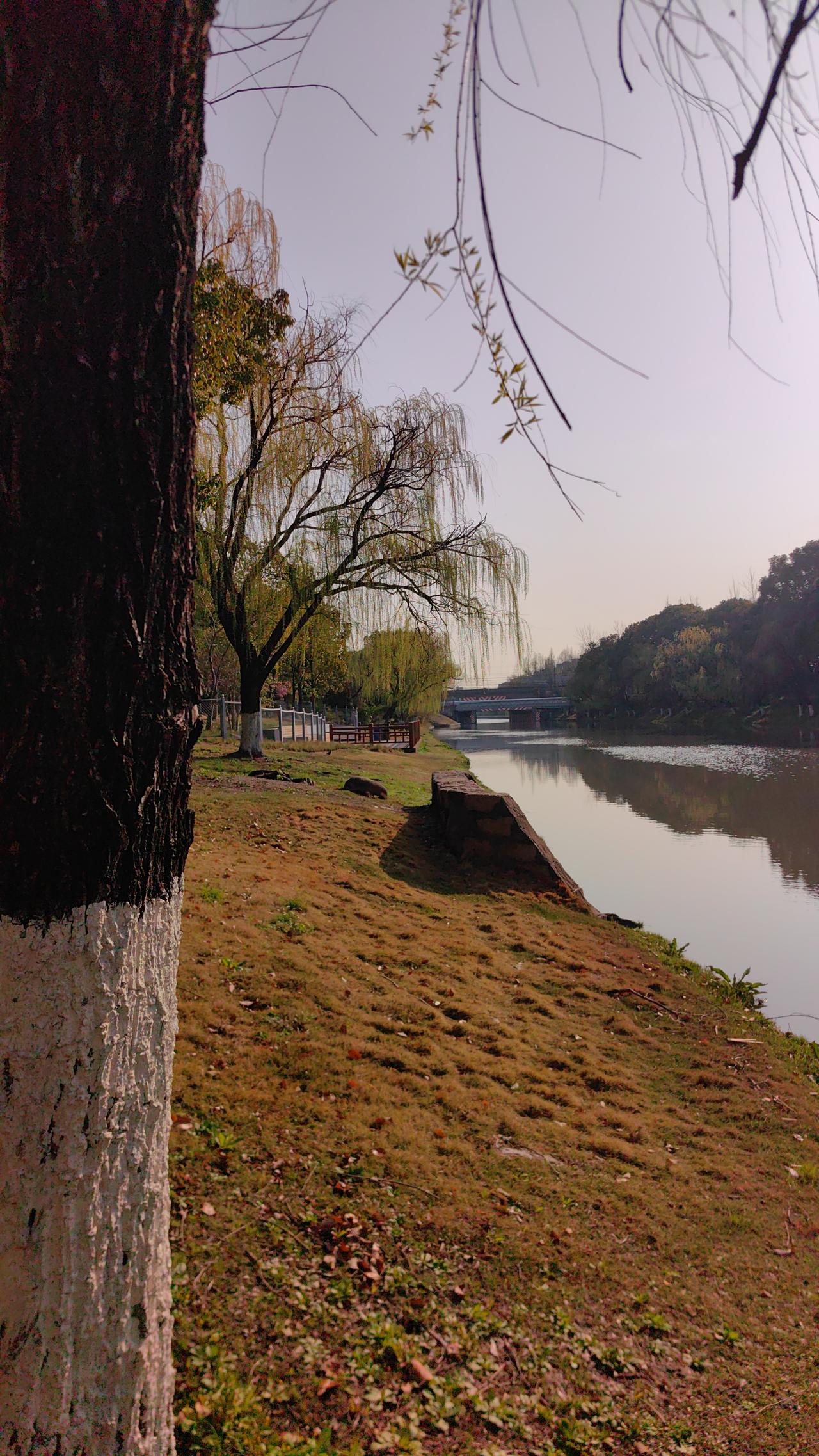 分享一张在路上的风景家旁边的河边风景很好看，心情美好，看什么总也看不厌，你看，今
