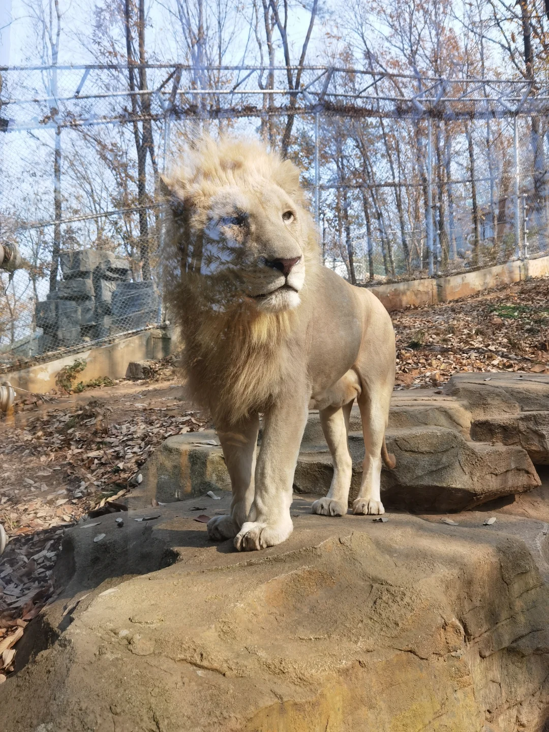 动物园里有什么～
