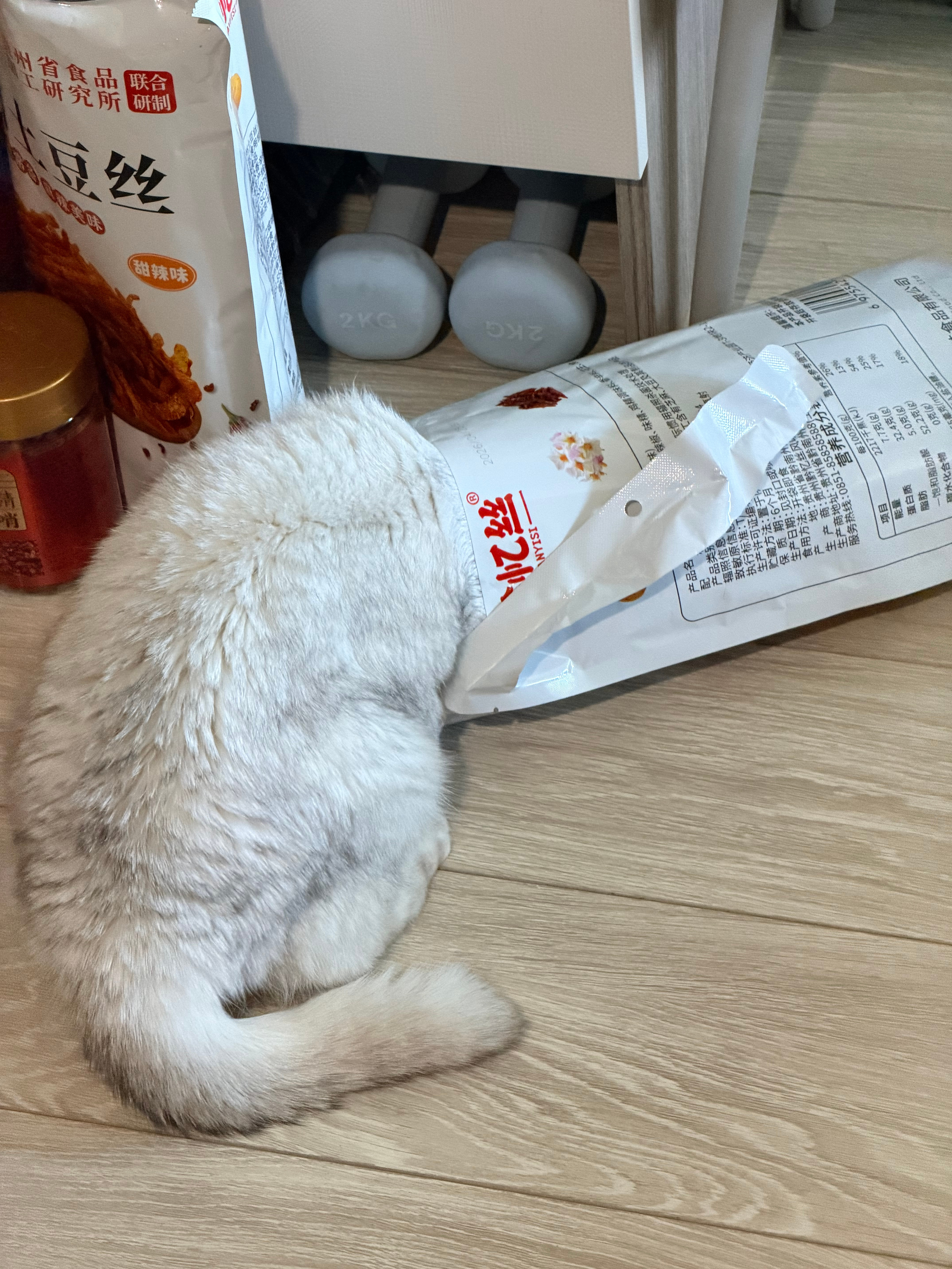 《猫片》 