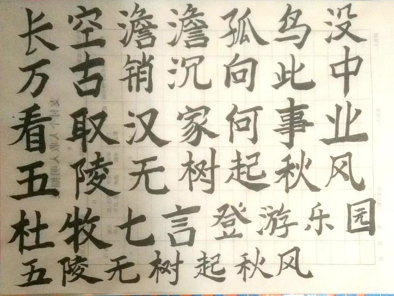 醉卧暖风吹不醒，乱红无数点人衣书法诗词作品 爱上诗词书法 抄抄书 练练字 静静心