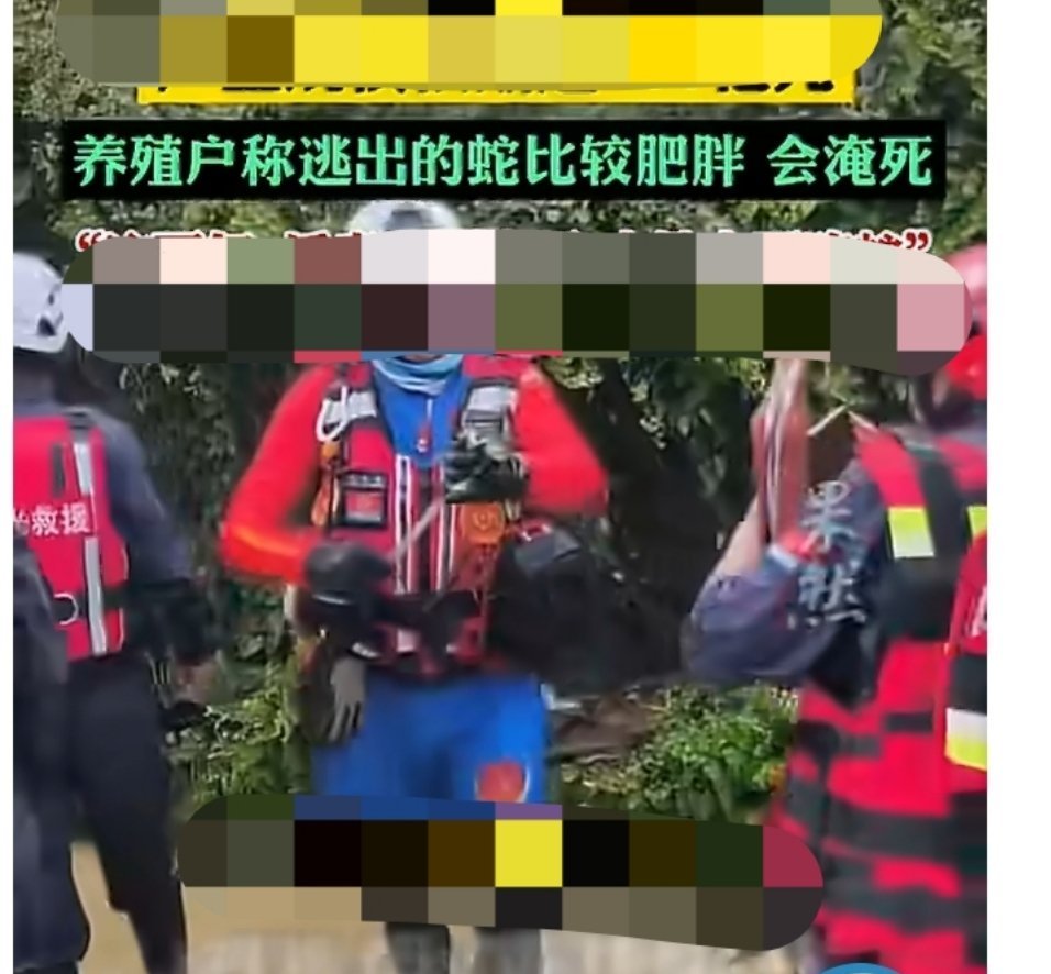 ？？？胖了干啥都心酸养殖户说蛇三四十一斤但本地人不吃
