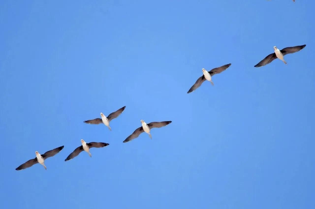 【连天空都是瞬息万变的，谁又能保证身边的一切不会变；人可以念旧，但别奢望一切如旧