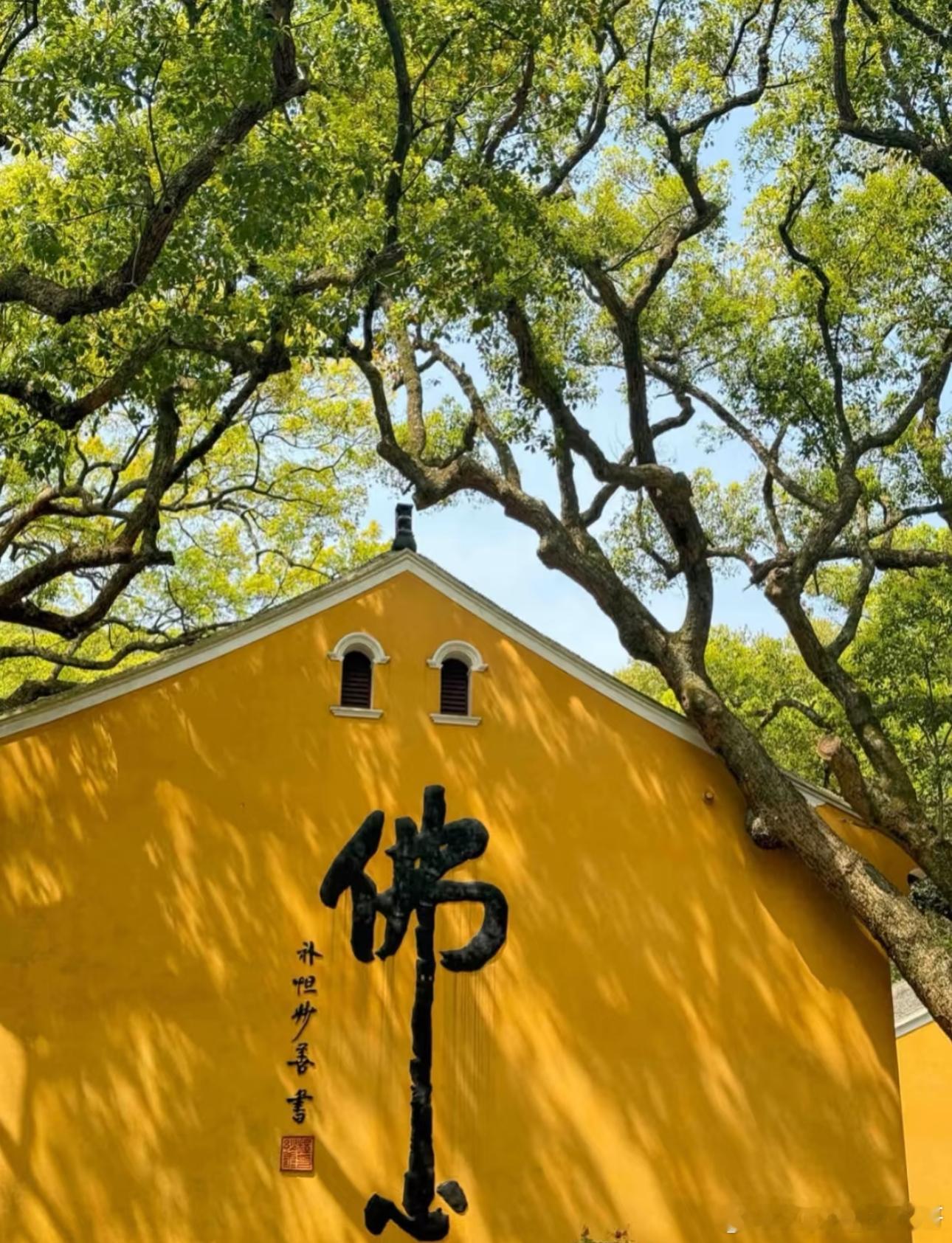 越来越好日常分享  ​​​