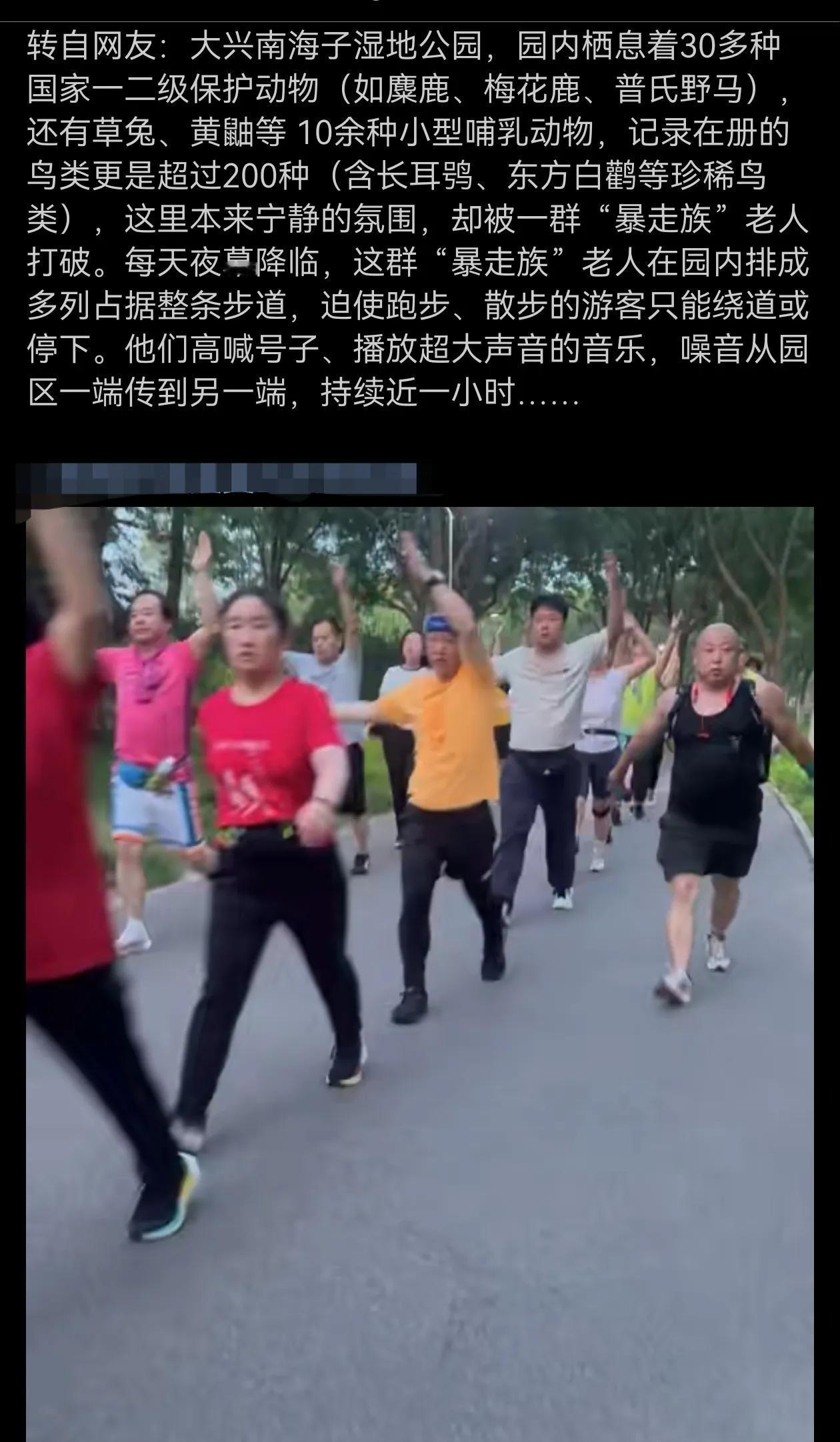 唉，岁数大了也不安生，搅得飞禽走兽都不得安宁！