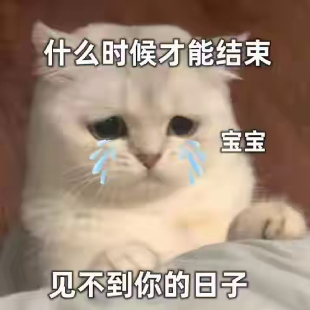 怎么我一来就没有线下追了不能吧不能吧