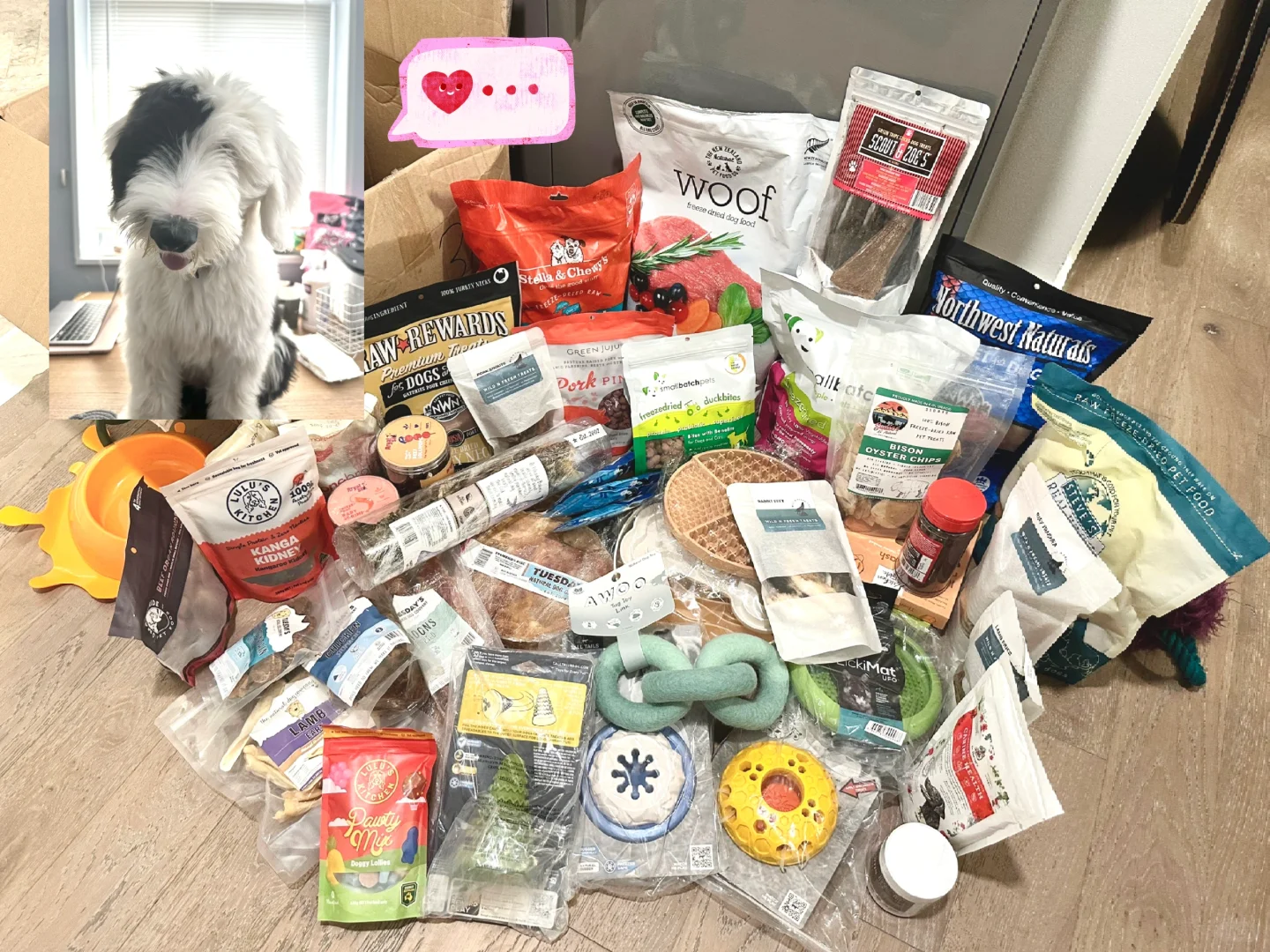 🐶🐱一年一度的SuperZoo宠物展会又来啦！