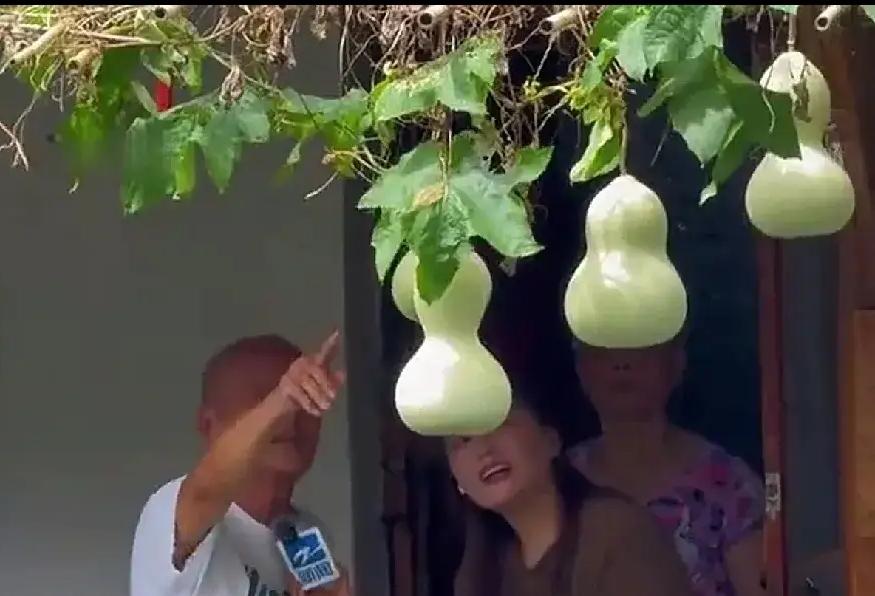 我可怜的葫芦娃，被爷爷收了
葫芦娃爷爷陈金敖真是左右为难，老伴沈华玲头晕病发作，