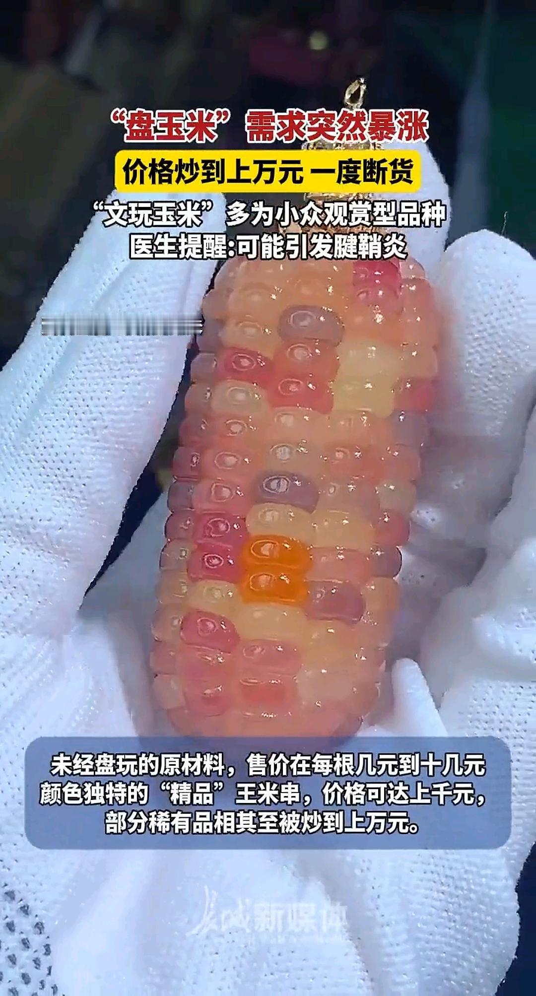 “盘玉米”需求突然暴涨
价格炒到上万元一度断货
 
以前喂猪的玉米棒子
现在摇身