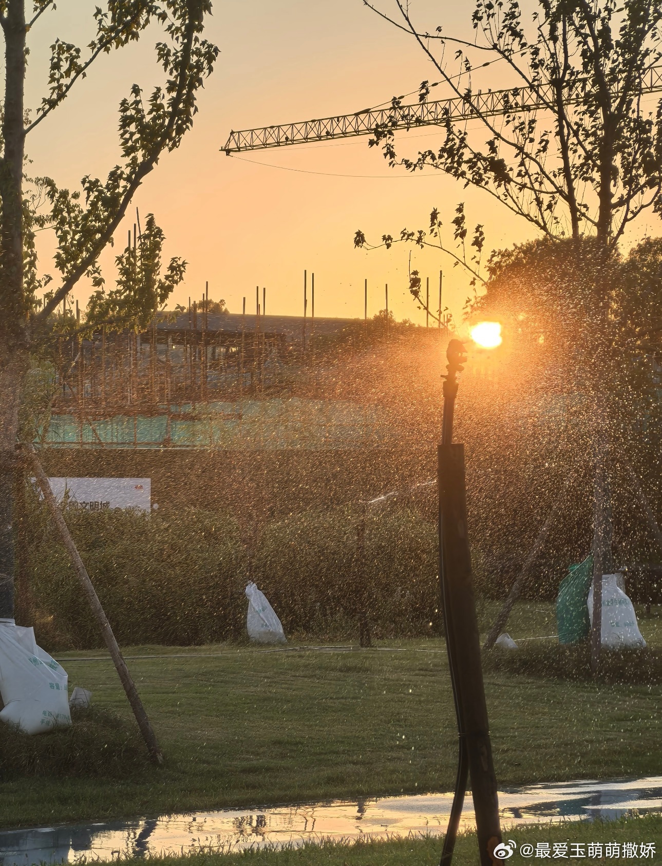 生活手记人在一段关系里，最难得的是清醒，不被情绪裹挟，不被幻想蒙蔽，守住边界与本