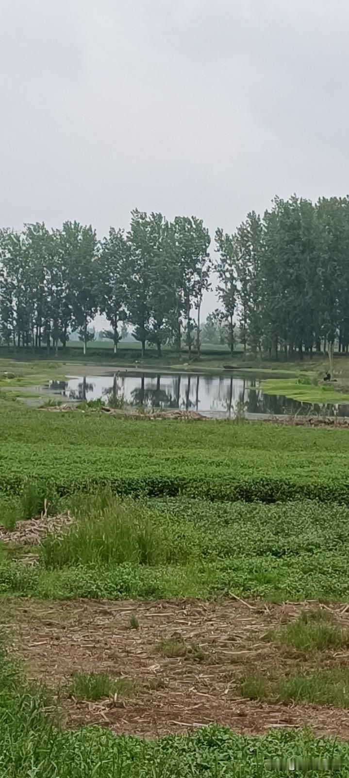 不要去打扰一个安静从容的女人更不要试图向他炫耀你拥有的一切你以为的见多识广在她眼