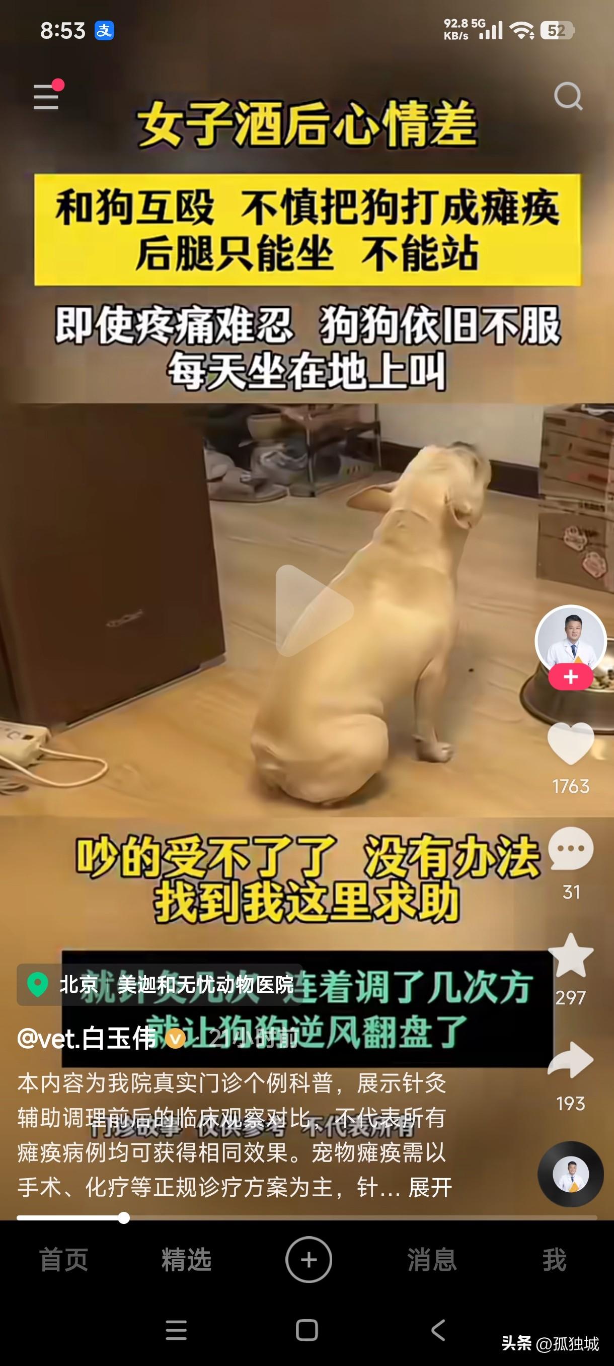 女子酒后心情不好和狗互殴，下手过重把狗打成瘫痪，后腿只能坐不能站立，即使疼痛难忍