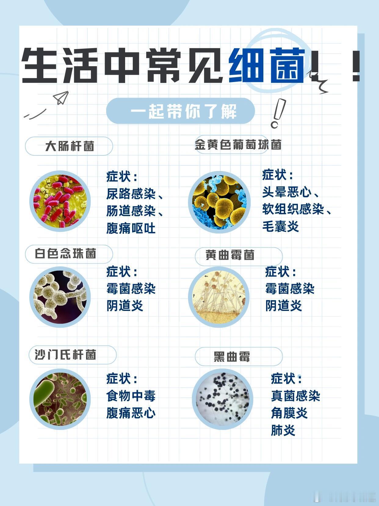 生活中常见6大细菌，细菌虽然肉眼不可见但是生活中，却有成千上万的细菌与我们共同生