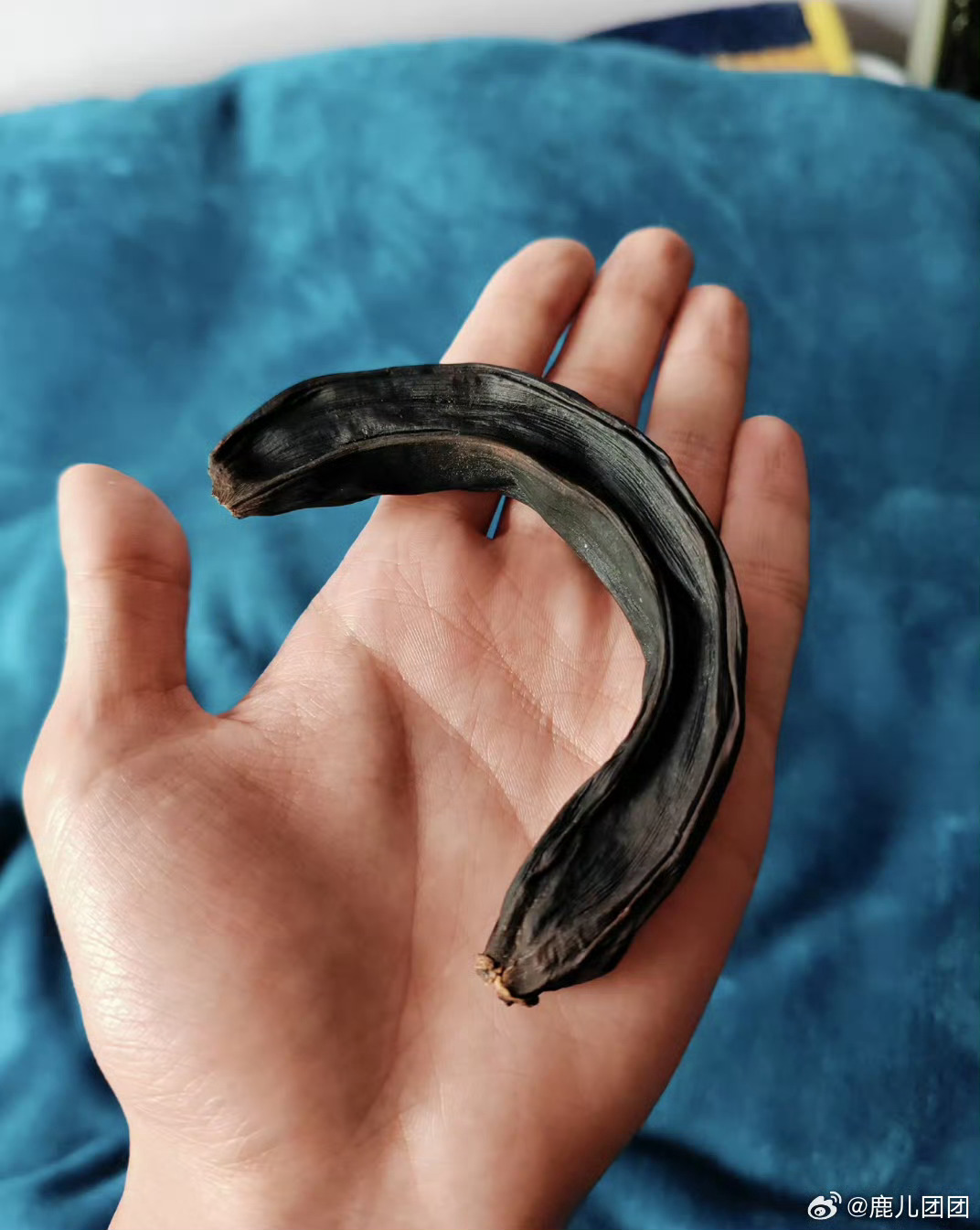 放了八年的香蕉香蕉木乃伊 