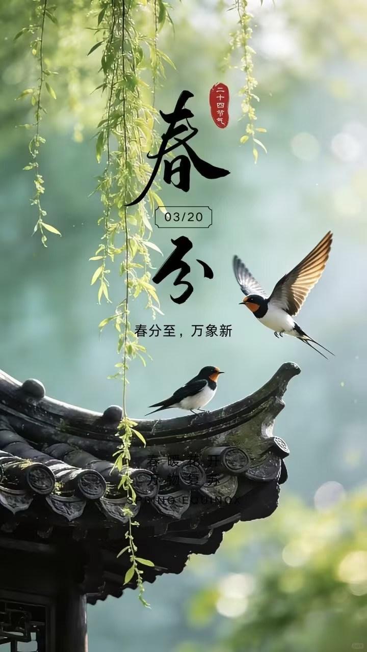 春分至，万物新，大自然的美妙瞬间。