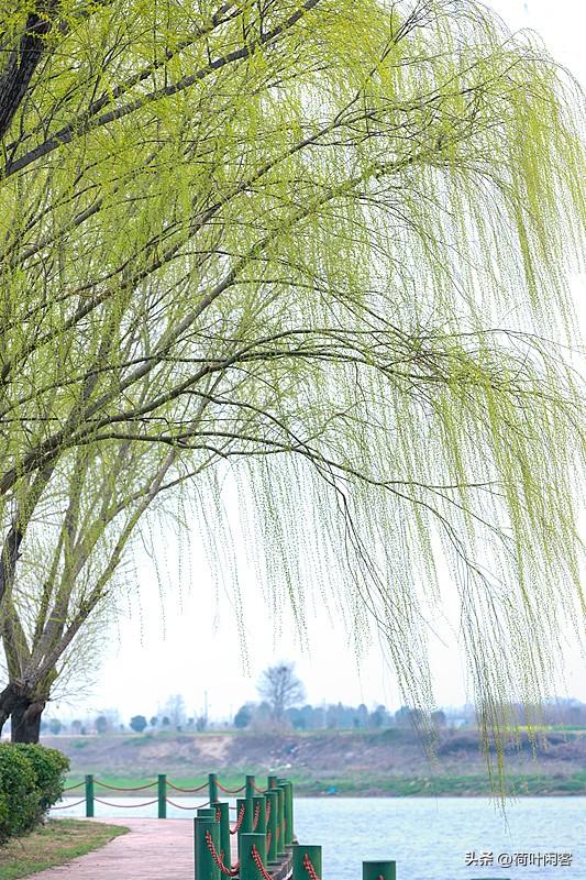 上联:风吹春柳一堤绿;
下联:雨洒夏荷万盘珠。
 友友来出下联 友友请邀对上联 