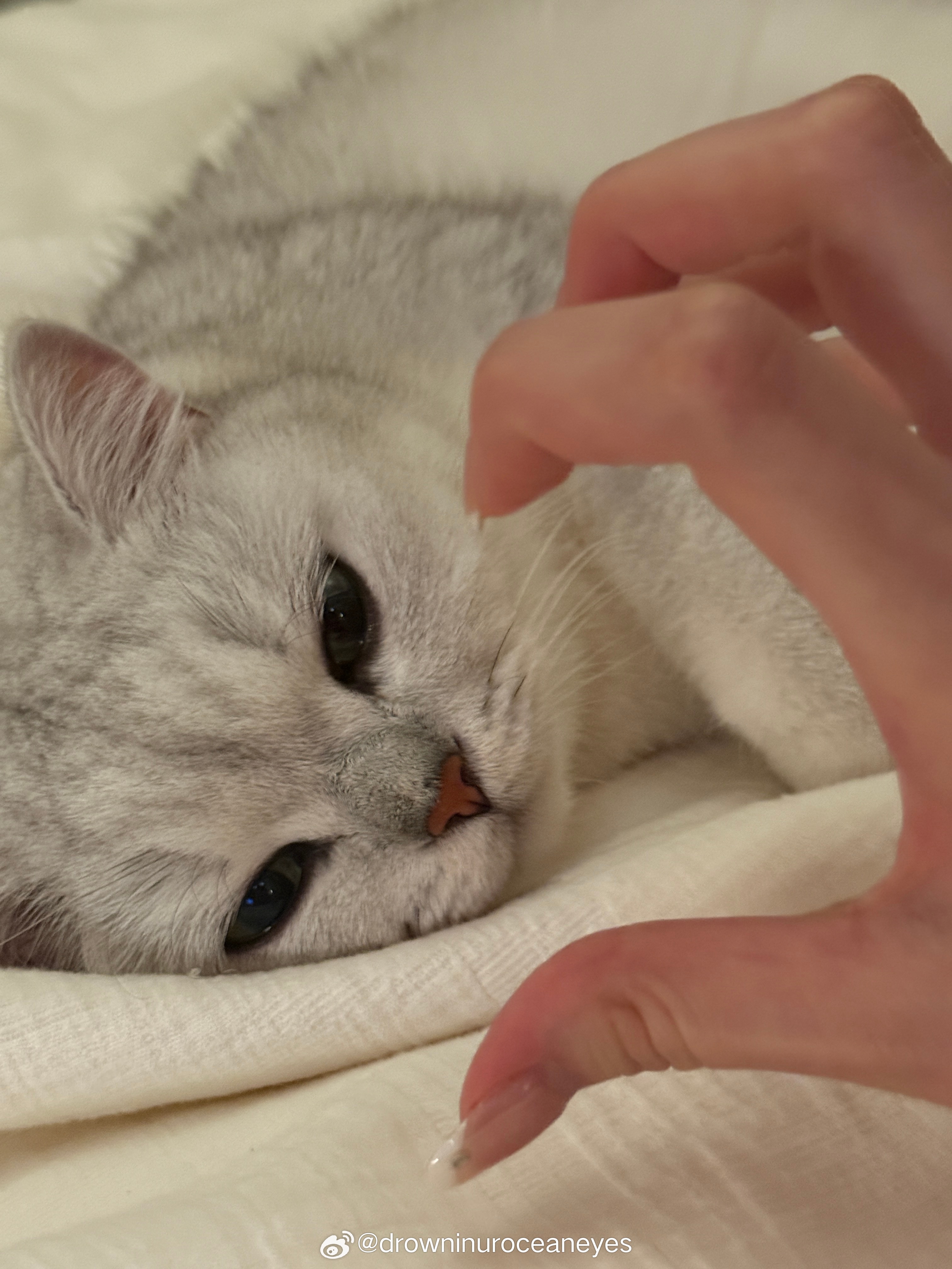 消失的日子里都在学习和打游戏🐈 ​​​