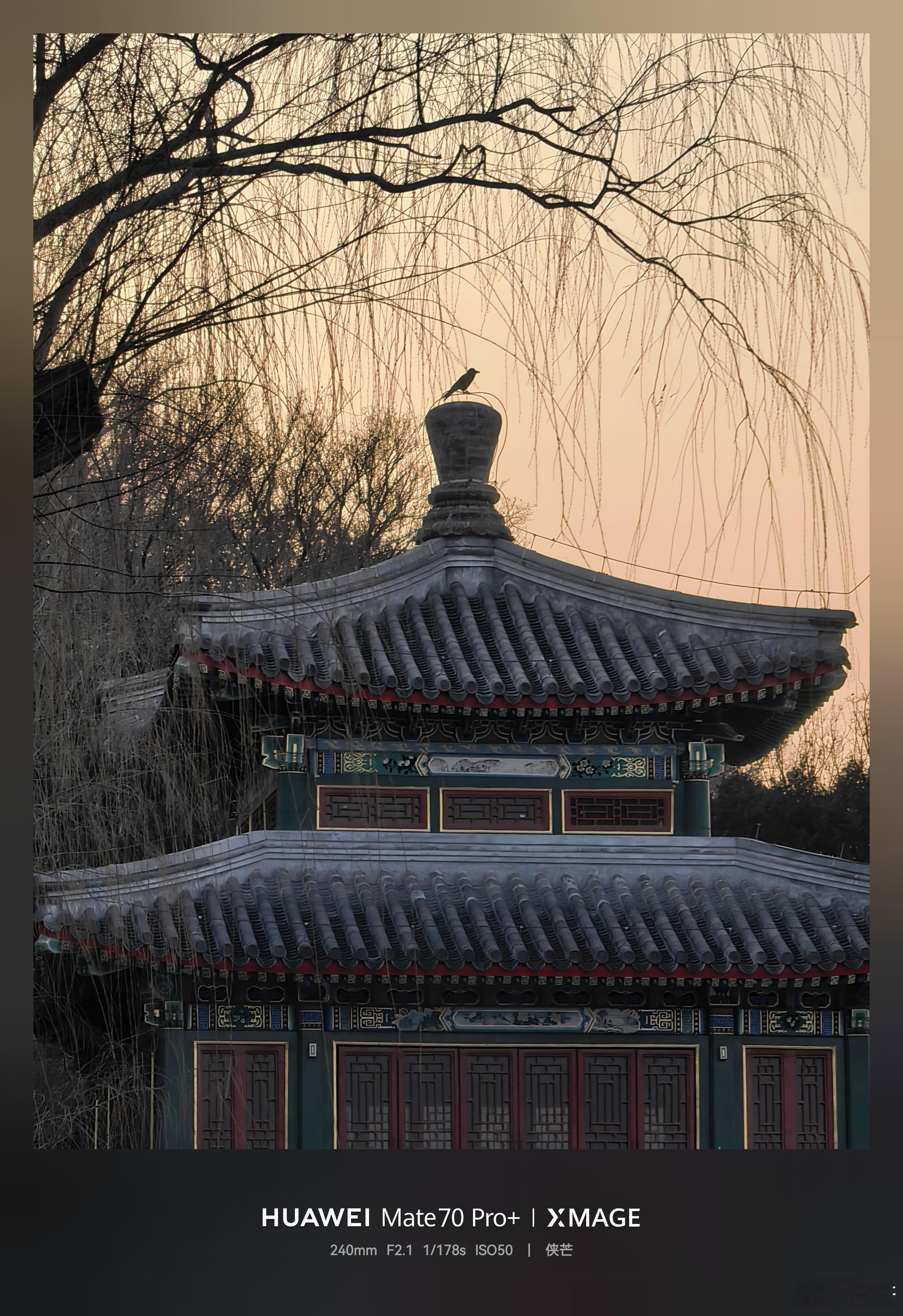 北海公园的黄昏，白塔静立，冰面如镜，水鸟轻点涟漪。古树悬灯，一袭华裳，两抹笑靥。