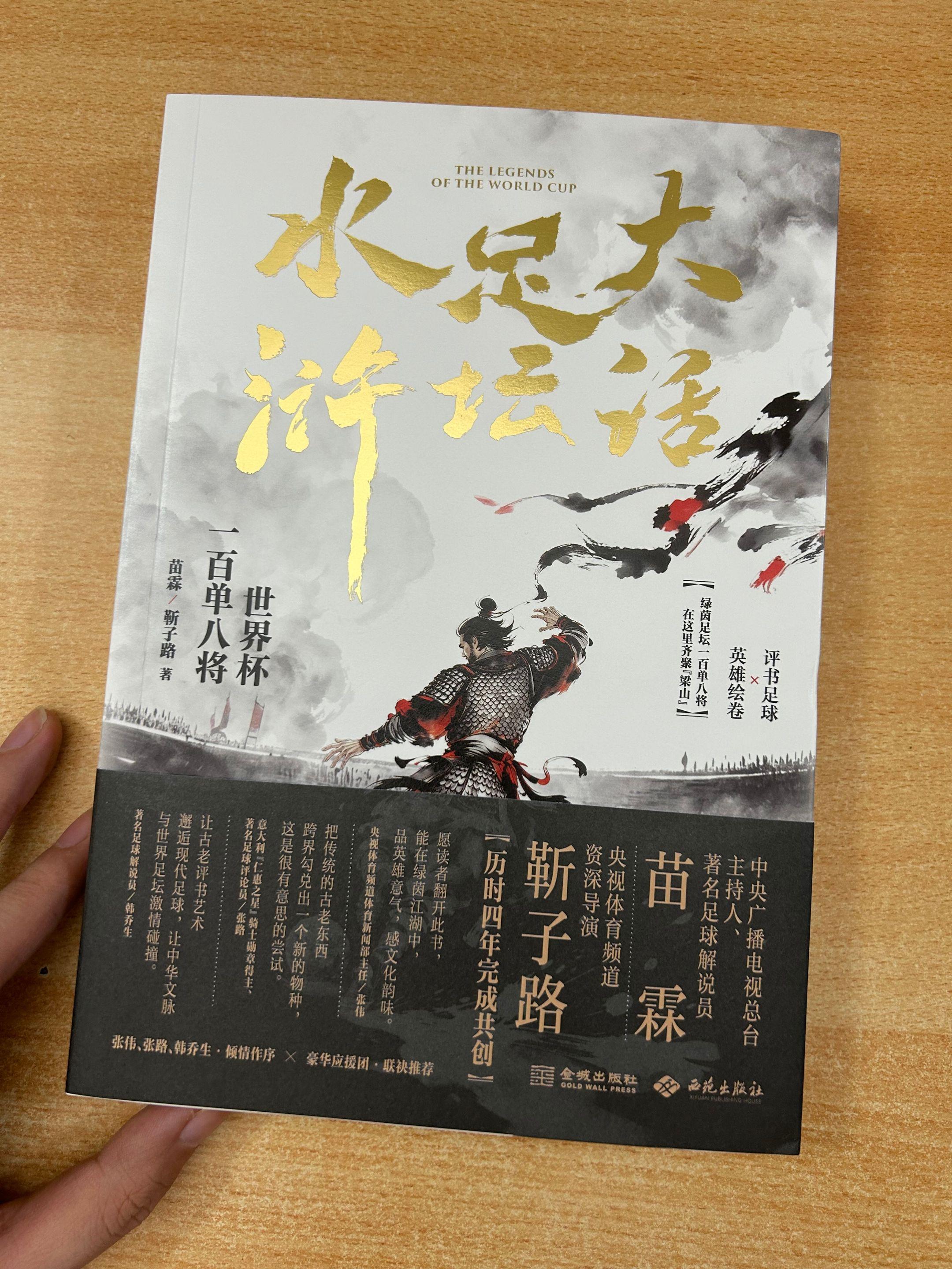 《大话足坛水浒》：世界杯一百单八将。