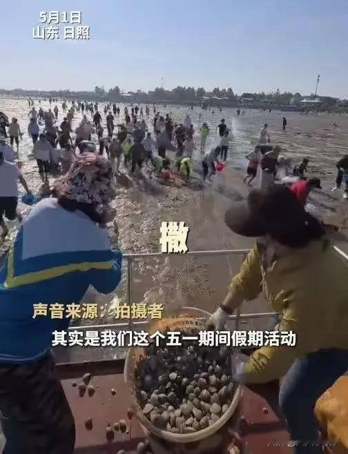 山东景区狂撒三千斤蛤蜊！这场文旅“豪横”背后藏着什么秘密？
 五一旅游市场硝烟弥